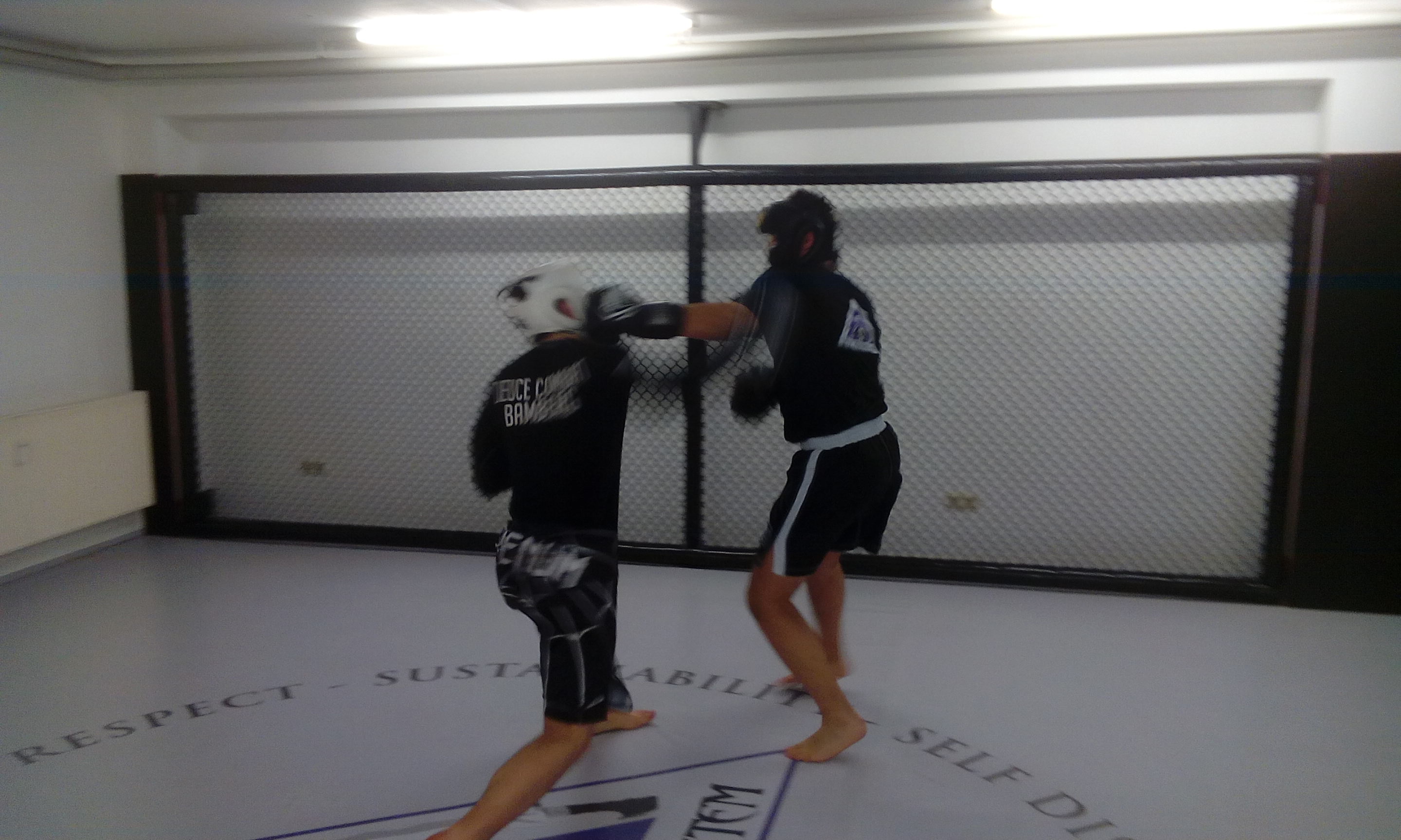 regelmäßiges Sparring (freies Kämpfen) für Fortgeschrittene, aber kein Zwang !